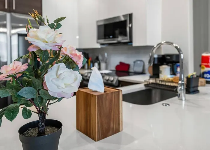 Fashionable 2bd In The Heart Of Fortworth Cozy * Fort Worth